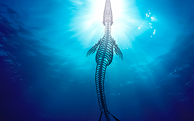 Ontmoet Bèr - Mosasaurus Experience